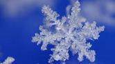 EMERGENZA NEVE