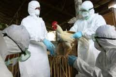 ORDINANZA PRESIDENTE GIUNTA REGIONALE N. 10 DEL 30/01/2017. INFLUENZA AVIARIA