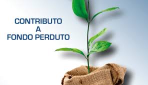 Contributi a fondo perduto - Pubblicazione nuovo bando