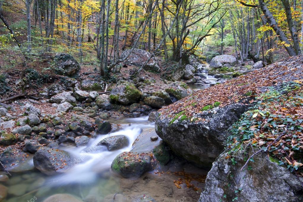 Autorizzazione alla raccolta del legname caduto nell'alveo dei corsi d'acqua