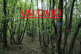 Usi Civici - Avviso Importante