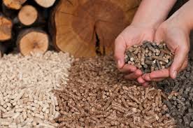 Avviso pubblico - utilizzo biomasse legnose per riscaldamento