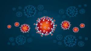 Vigilanza sul rispetto delle misure di contenimento dell'epidemia da Covid-19