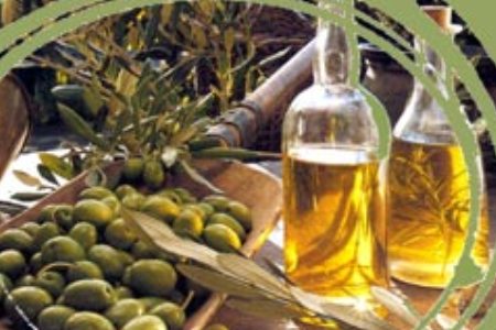 Festa dell'Olio Novello - Bacino di Brasimone