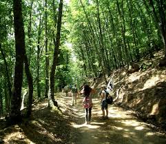 Domenica 27/05/2018 Trekking letterario dedicato a Paolo Guidotti