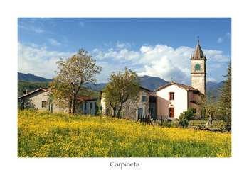 Carpineta