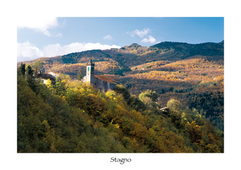 Stagno