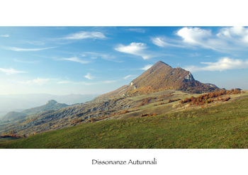 Dissonanze autunnali