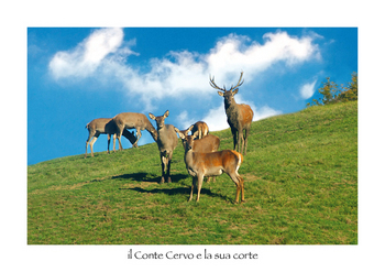 il Conte Cervo e la sua corte
