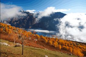 Montagna