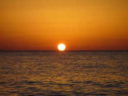 Mare