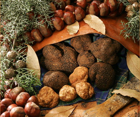 Tartufesta
