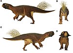 A Psittacosaurus rekonstrukciója