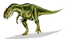 Allosaurus fragilis