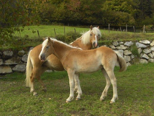 Alla scoperta del territorio. Escursione per ragazzi.