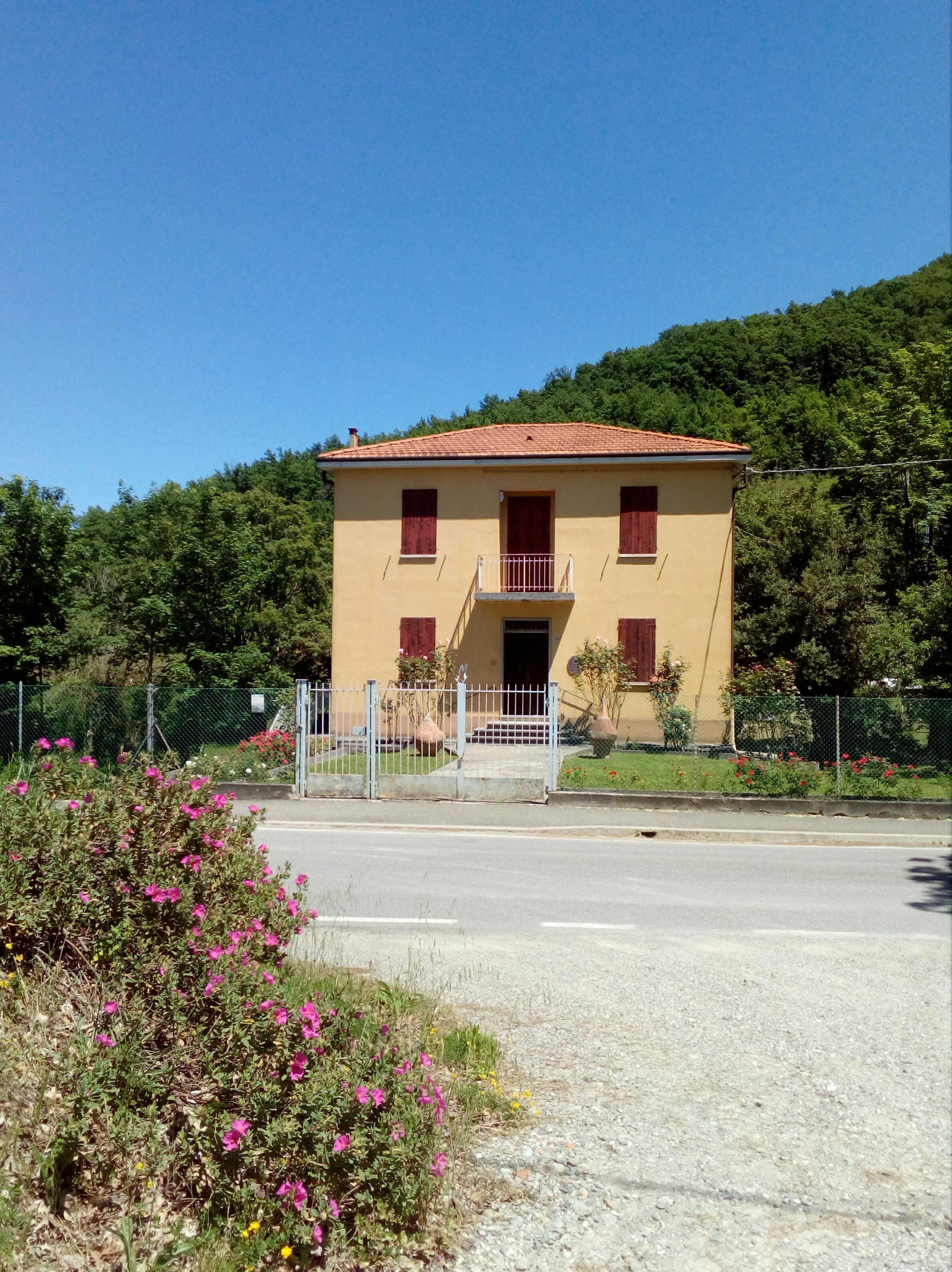 Riapertura Casa Museo Morandi e Museo degli Allievi di Giorgio Morandi