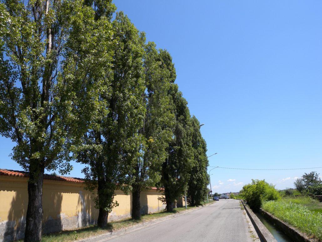 Ordinanza Sindacale n.12/2022