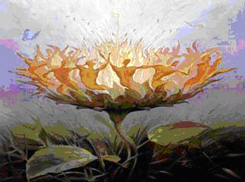 Biodanza. Serata di presentazione