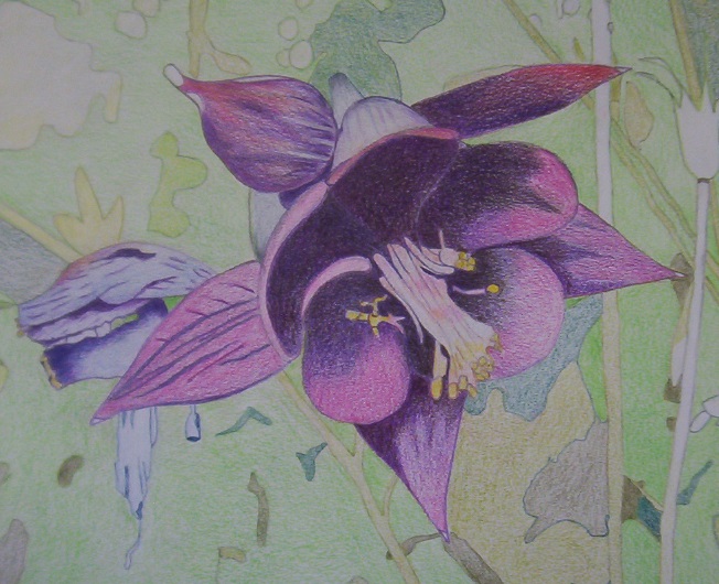 Dalla realtà all'arte di Antonio Rocchetta