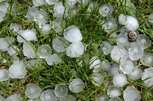 Avversità atmosferiche 5 luglio 2016