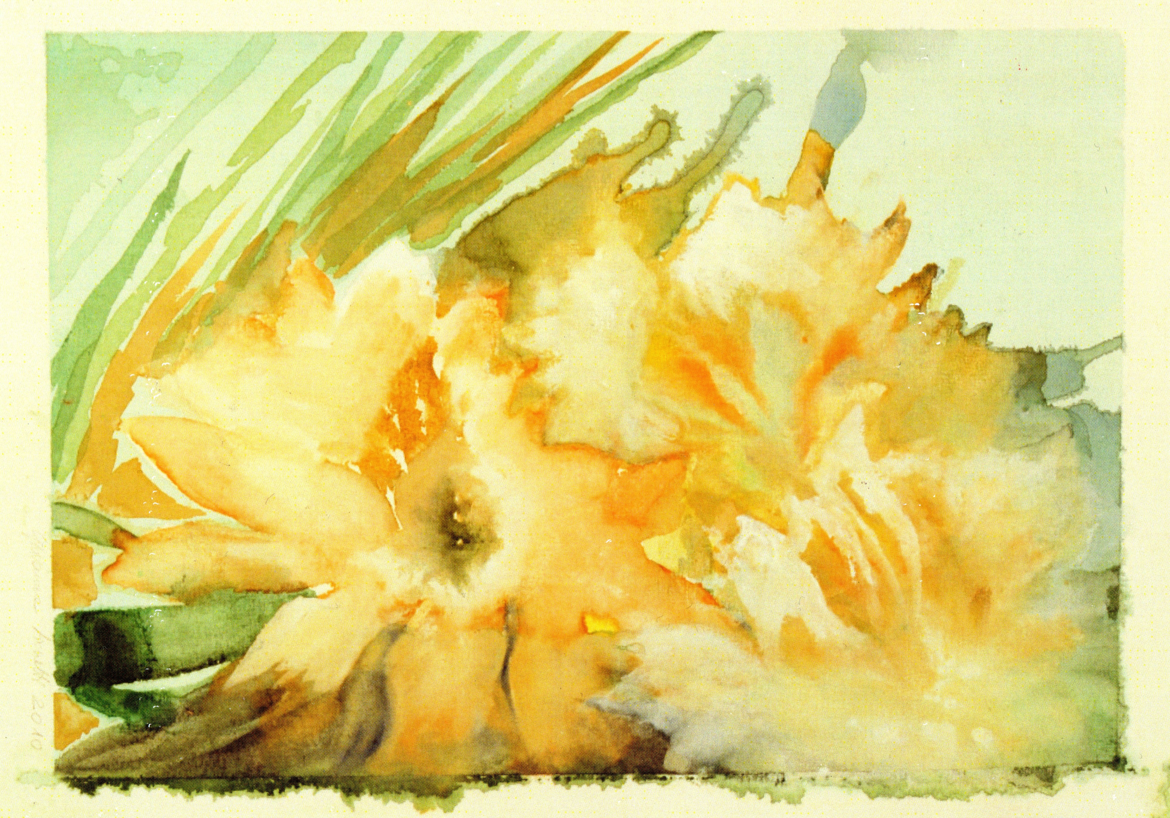 Fiori di luce. Acquarelli di Giovanna Lionetti.