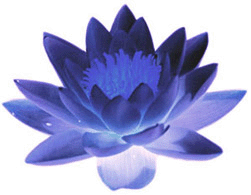 Notte d'Oriente a La Scola