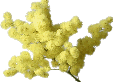 Da donna a donna: cena di beneficienza e commedia dialettale