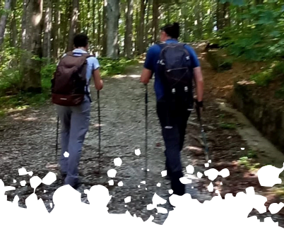 Attorno al Monte Sacro. Natura, storia e arte  intorno al Montovolo