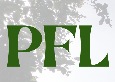 Piccolo Festival Letterario - 1a edizione 2023