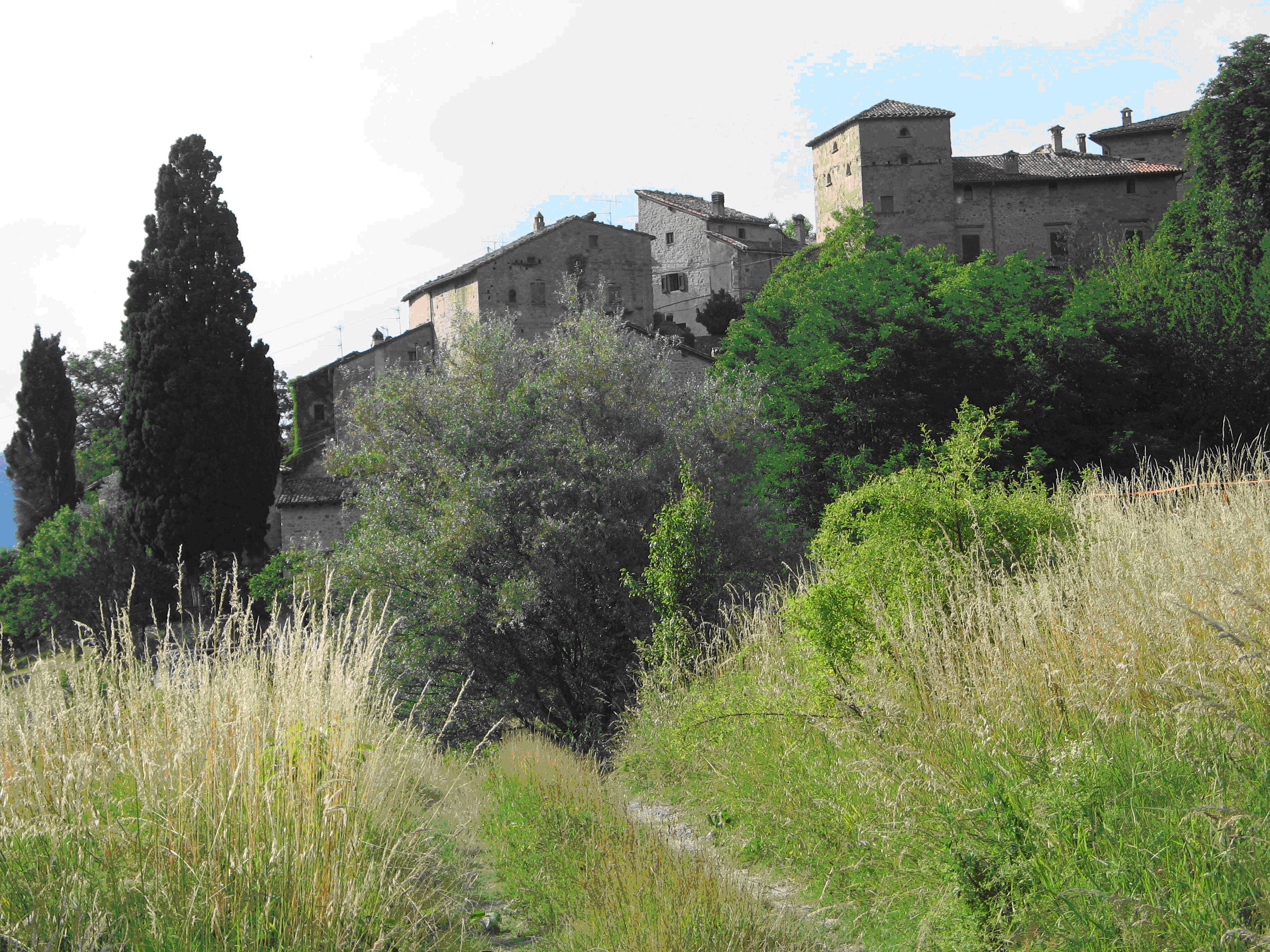 IV Edizione del Mercatino della Terra