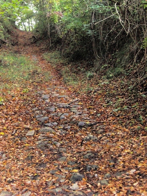 Sentieri CAI 100 e 174