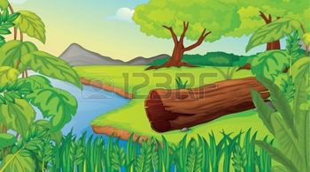 Autorizzazione alla raccolta del legname caduto nell'alveo dei fiumi