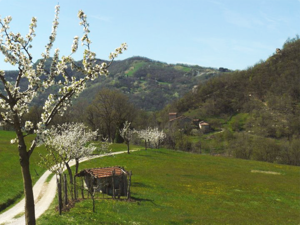 Vivi e ascolta la montagna. II edizione - estate 2012.