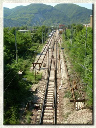 TAGLIO DEGLI ALBERI LUNGO LA SEDE FERROVIARIA 