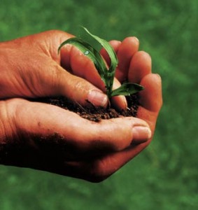 QUALE AGRICOLTURA PER LA NOSTRA MONTAGNA?