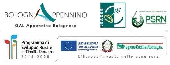 composizione tamarra