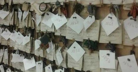 “AMALIA”, spettacolo teatrale con Mirella Mastronardi, martedì 28 aprile alla Biblioteca di Vergato