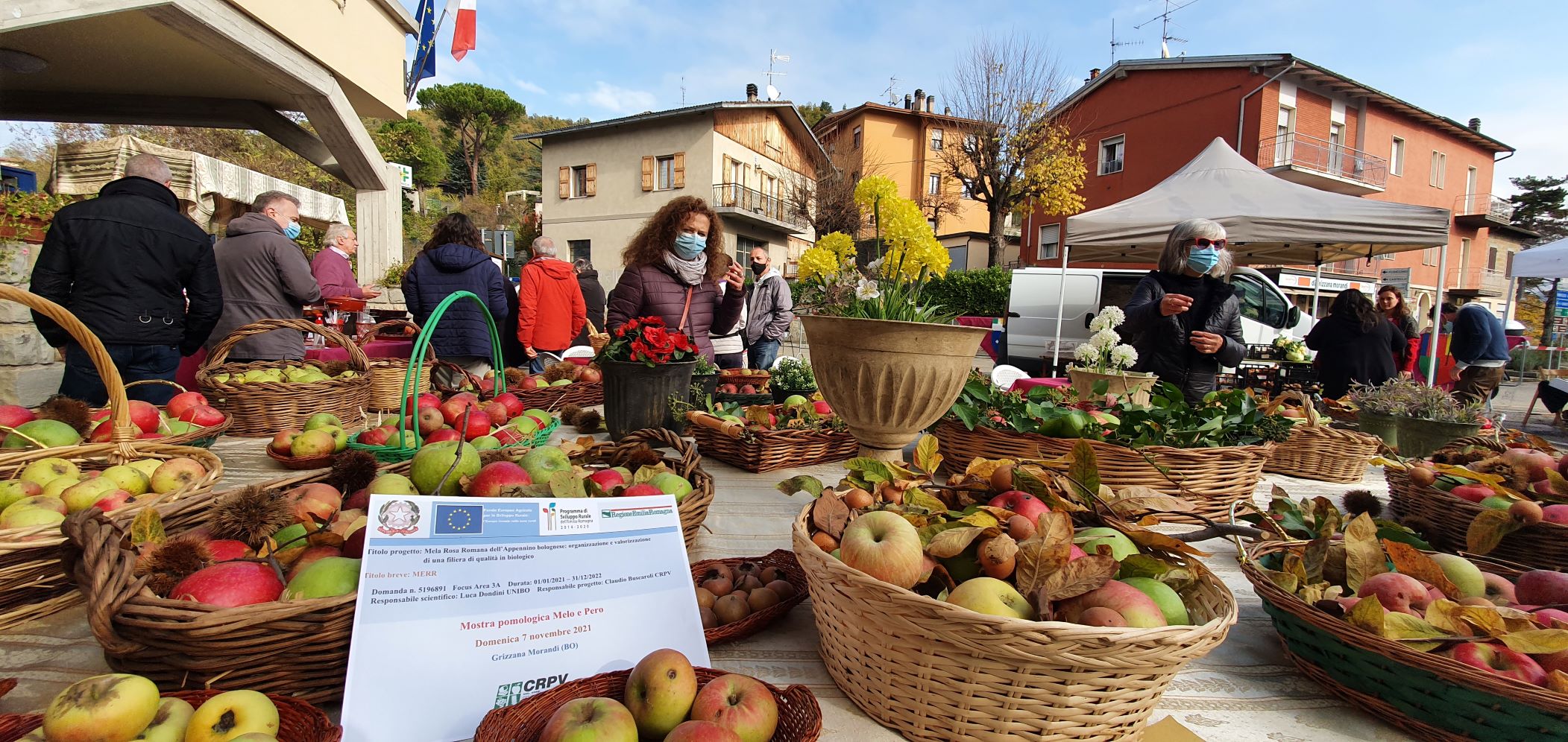 Foiatonda, lezioni in campo per la Mela Rosa Romana