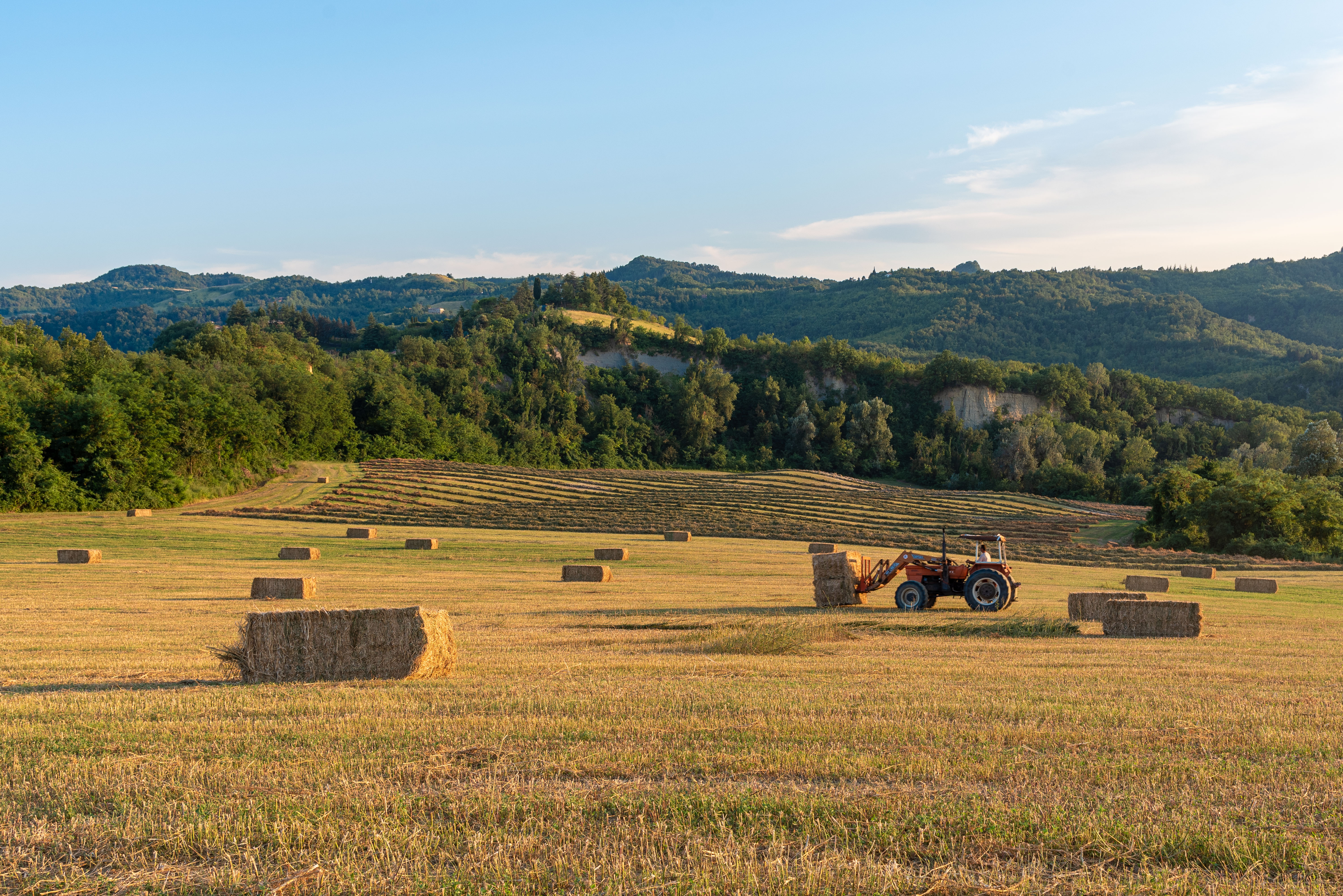 Appennino, dalla Regione un sostegno alle imprese