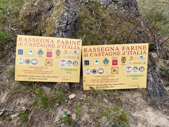 In Appennino c’è la farina di castagno migliore d’Italia 