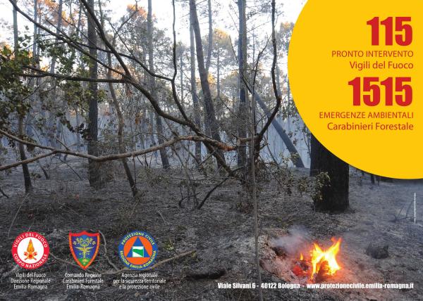 Incendi boschivi: fase di attenzione dal 27 MARZO 2021