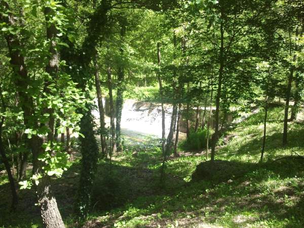 Nuovo regolamento forestale: un incontro a Pianoro