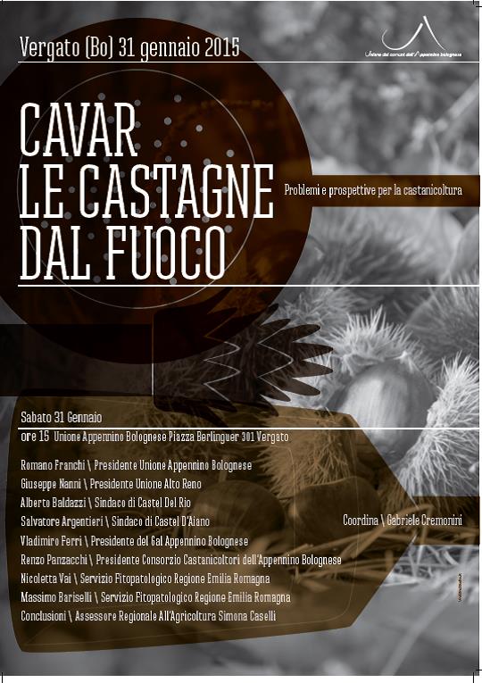 “Cavar le castagne dal fuoco”, sabato 31 gennaio convegno nelle sede dell’Unione, a Vergato