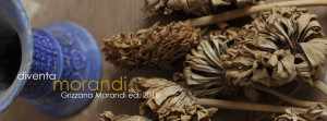 Diventa Morandi