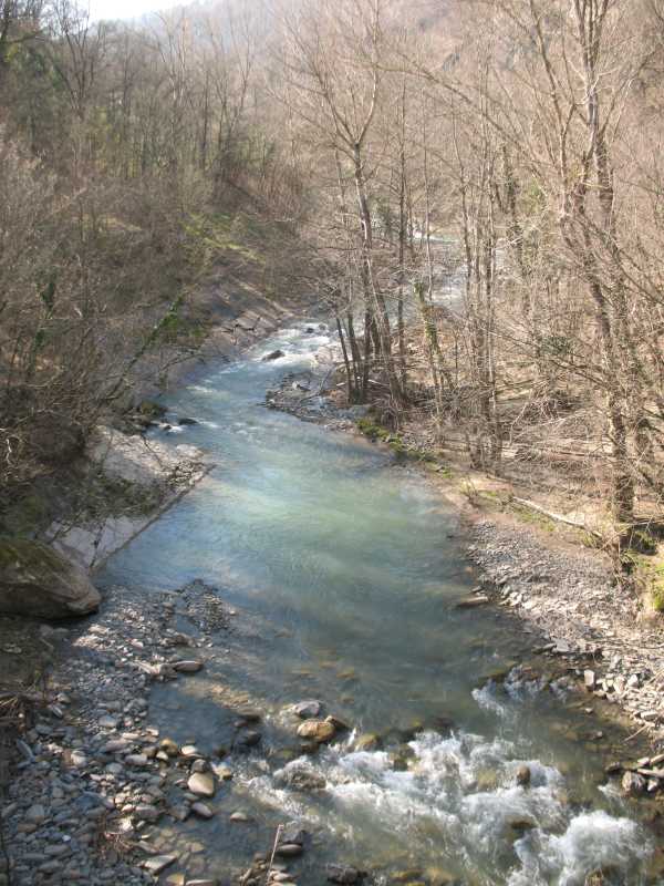 Raccolta legna nell'alveo dei fiumi
