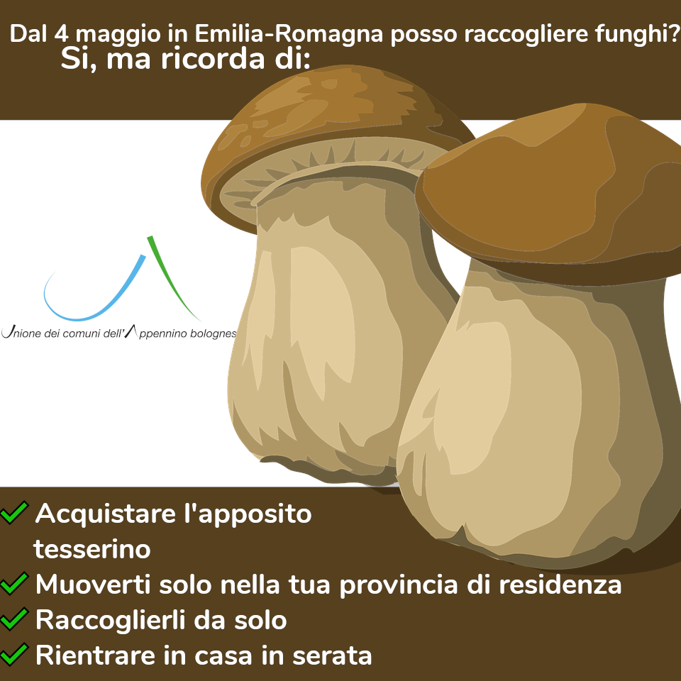 Riparte in sicurezza la stagione della raccolta funghi