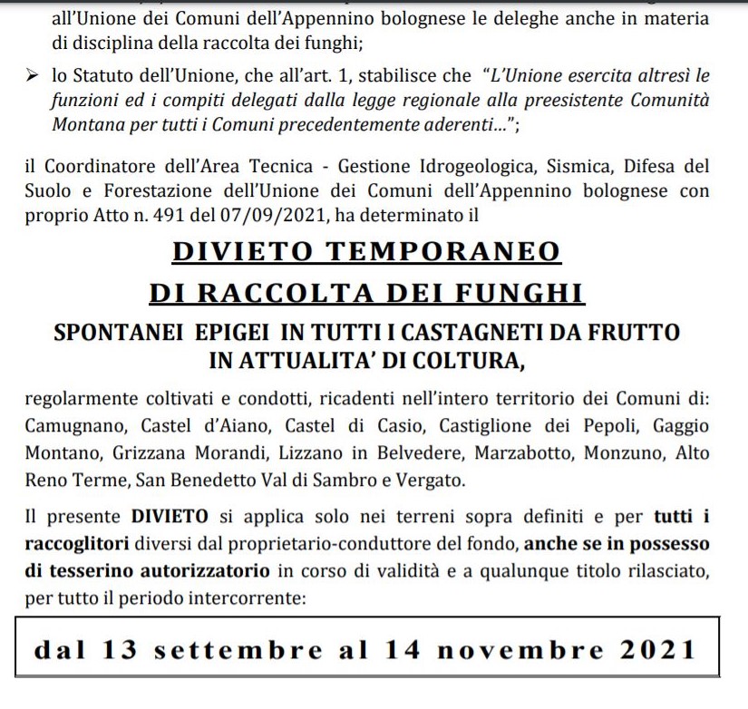 Scatta il divieto temporaneo di raccolta funghi epigei in tutti i castagneti