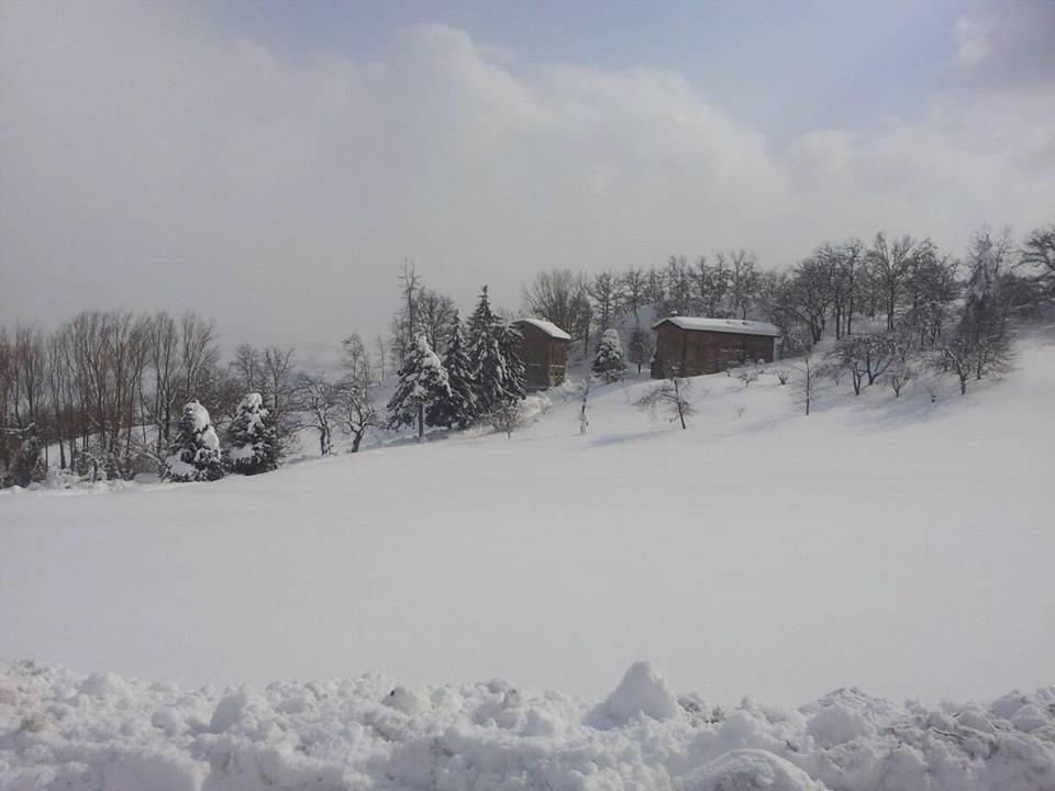 Emergenza neve: confermate la chiusura delle scuole per l'1 e il 2 marzo in nei comuni dell'Unione