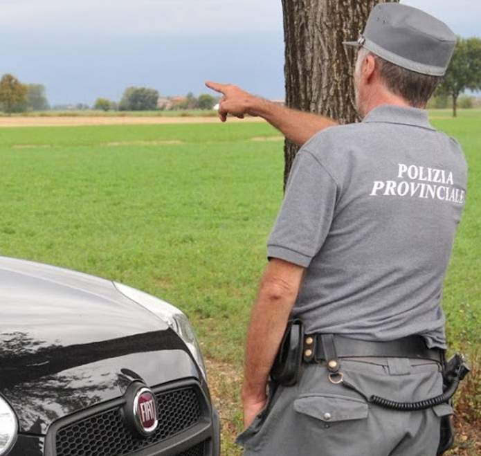 La Città metropolitana cerca nuovo personale tecnico volontario per il controllo dei cinghiali