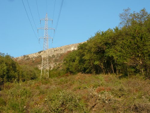 LAVORI DI TAGLIO, DERAMIFICAZIONE PIANTE LUNGO LINEE ELETTRICHE